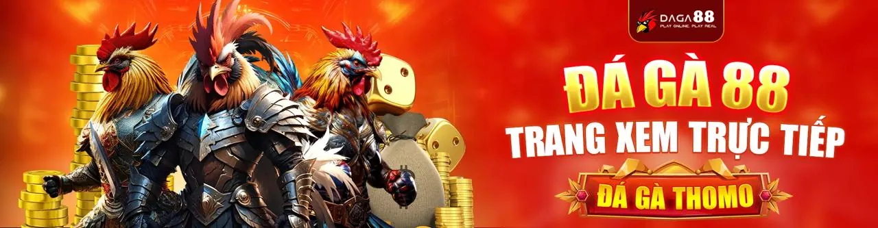 Đấu trường đá gà kịch tính tại 28bet mobi